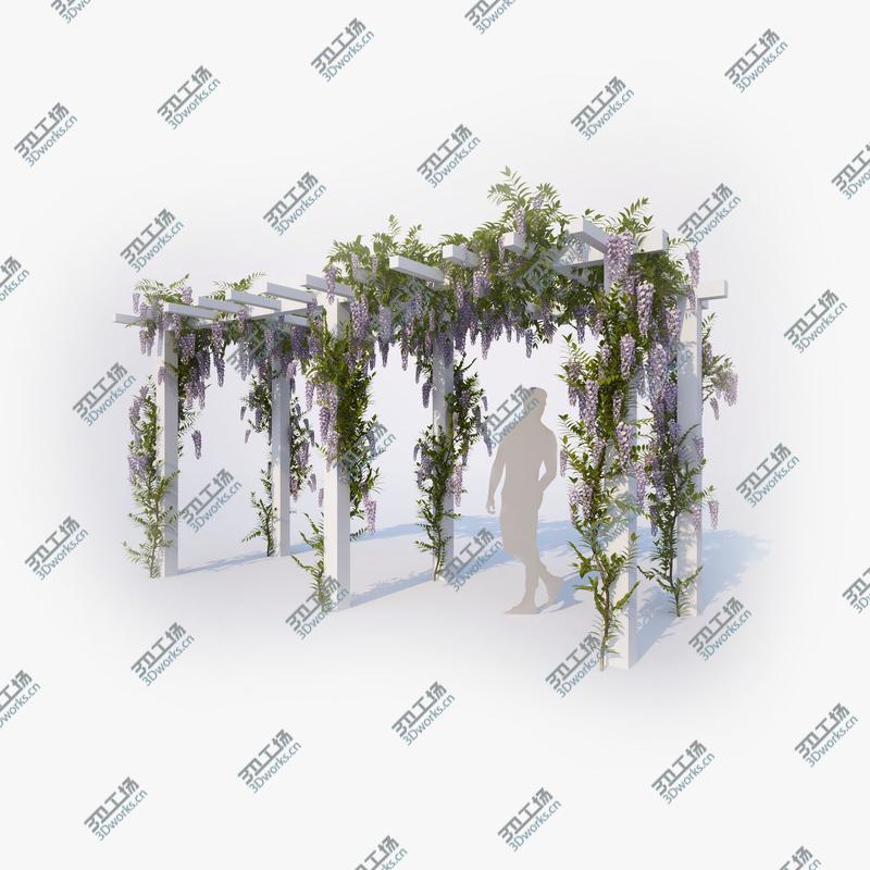 images/goods_img/202104023/Wisteria Collection 01/1.jpg